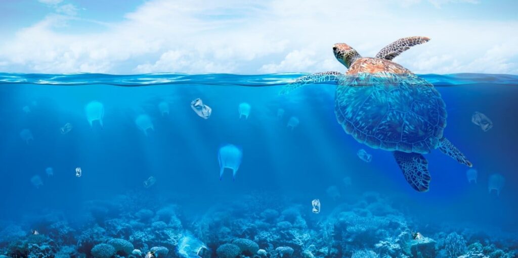 sociolus medasset clean seas official partner 1160x579 1